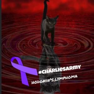 Meet your Posher, Pauline